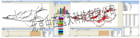 根系分析系统/植物根系可分析测量仪/根系分析仪