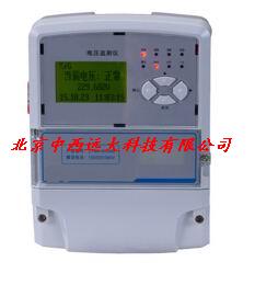 电压监测仪YL12-DT60