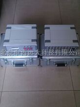 混凝土测温仪81M/JDC-1