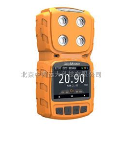 气体检测仪 型号:GP19-NGP8-M4/M406573