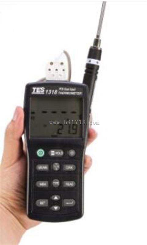 双通道铂电阻测温仪 型号:TES-1318