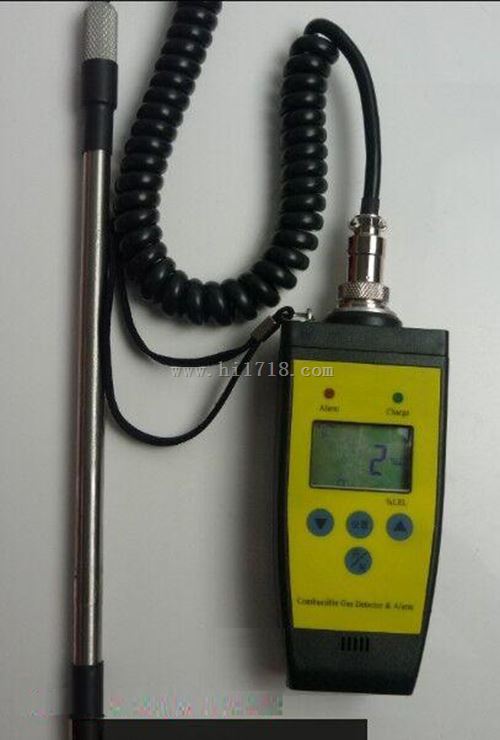 便携式漏氢检测仪 型号:NA-3