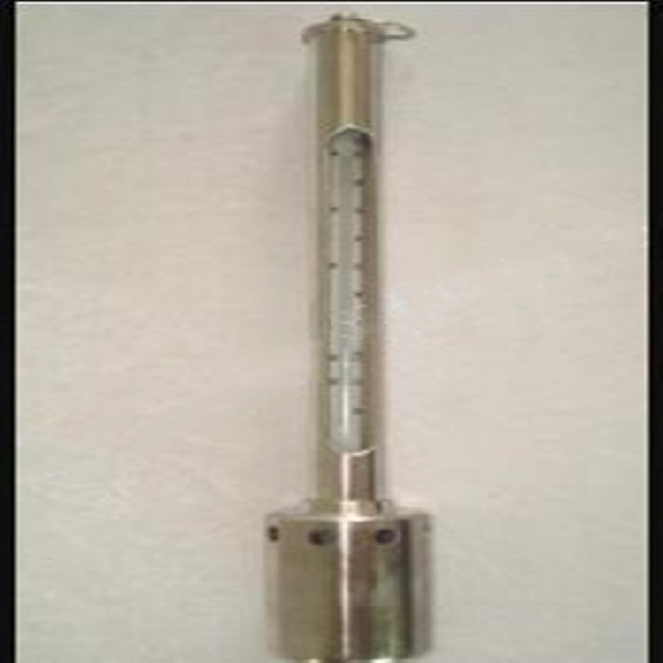 不锈钢水温计 型号:BPL8-SWJ