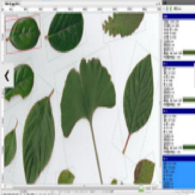 植物图像分析仪 型号:M343565-LA-S库号：M343565