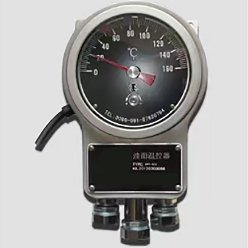 变压器油面温控器 型号:DS04-BWY2-804AJ(TH)库号：D175986