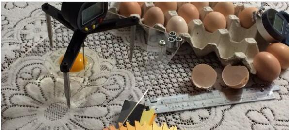 便携式鸡蛋测定仪 型号:MA2 库号：D43323