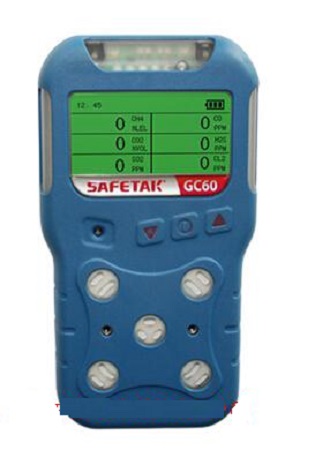 便携式多种气体检测仪 型号:GC60 库号：D404697