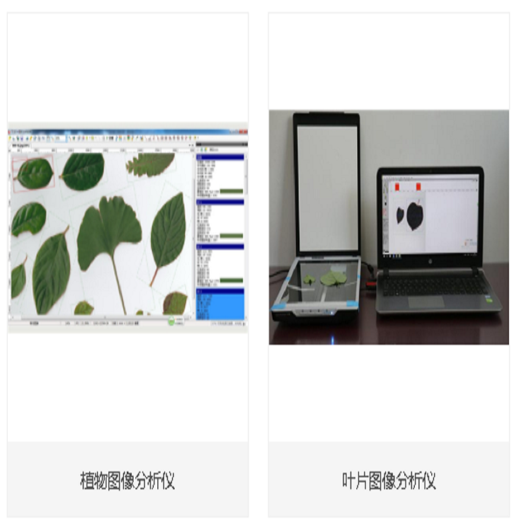植物图像分析仪 型号:D348434