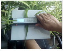 手持叶面积仪 型号:ECA-YM02库号：D254835