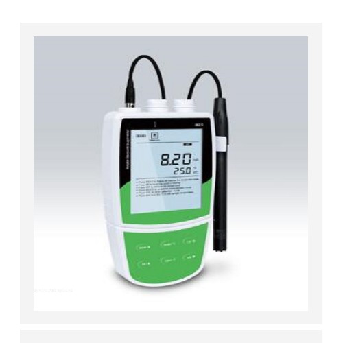 便携式溶解氧仪 型号:BANTE821