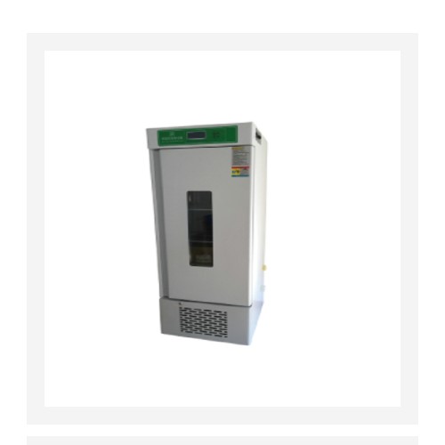 霉菌培养箱 150L 型号:MJX-150B 