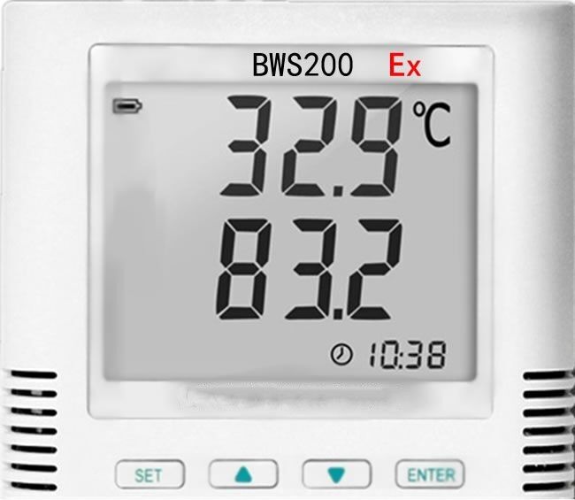 温湿度记录仪 型号:BWS200