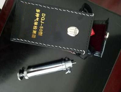 多种气体检测器 型号:DQJ-50