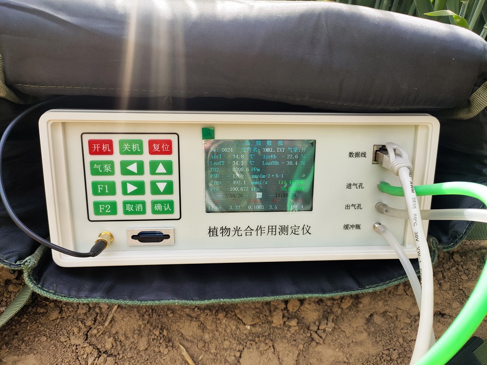 植物光合作用测定仪 型号:D330756 库号：330756
