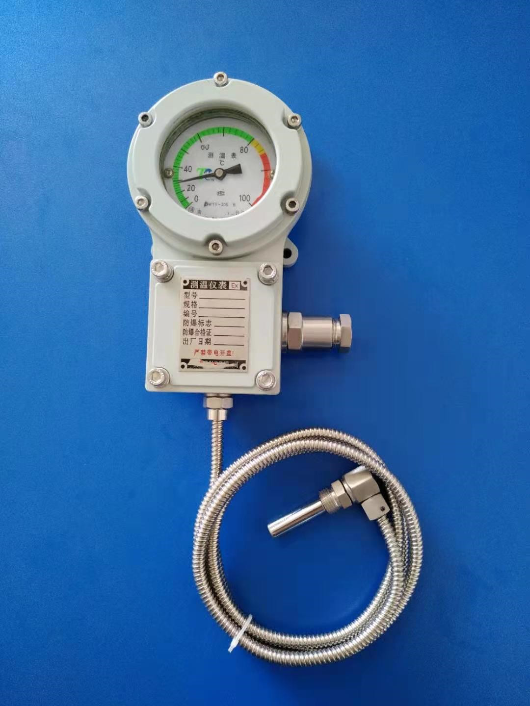 测温表 型号:BWTY-205 库号：D71851