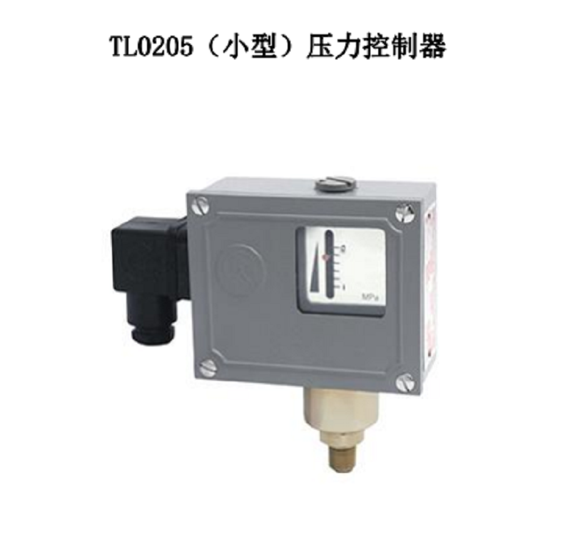 压力控制器  型号:TL0205.1000-157066 库号：D250227