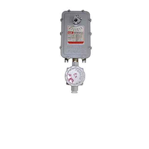 风阀执行器 型号:BDF25F-24
