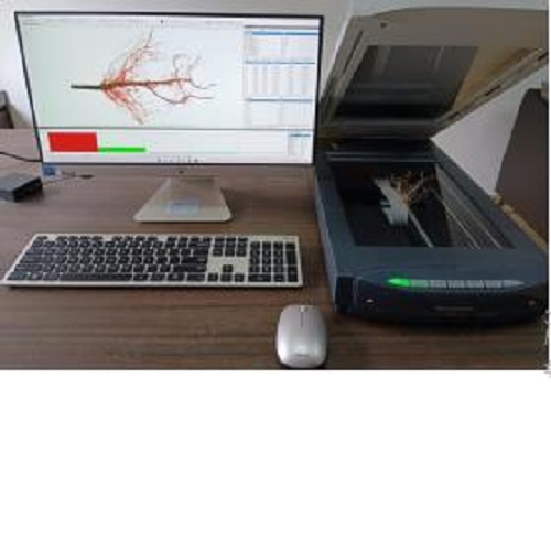 植物根系分析仪 型号:D398630