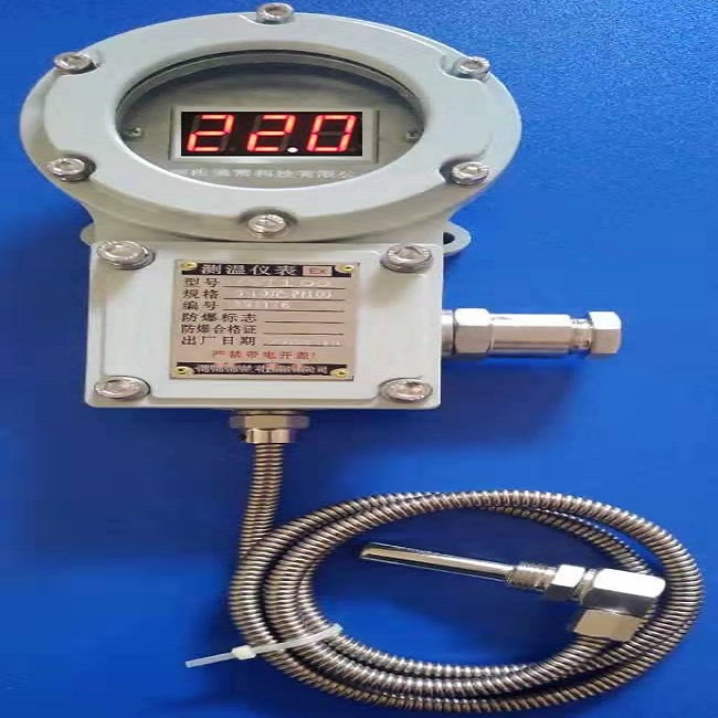 数字测温表 型号:BWTM-204