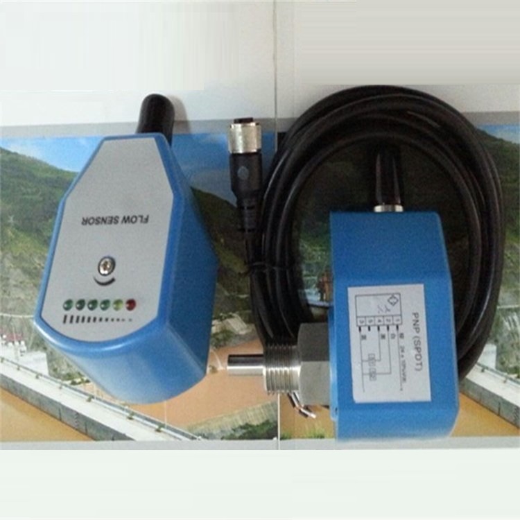 电子式流量开关 型号:G12HDPRQ 