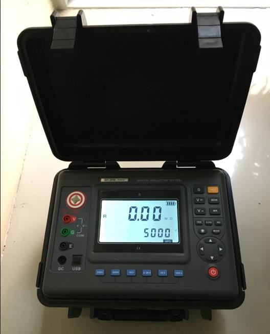 数字绝缘电阻测试仪 型号:BC2403