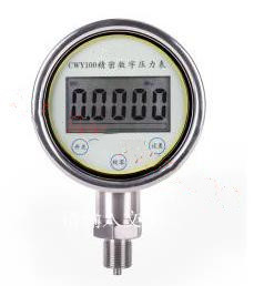 数字压力表 型号：CWY100