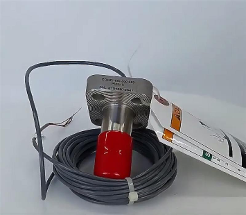 金属流量传感器 型号:P525-2S 159000964