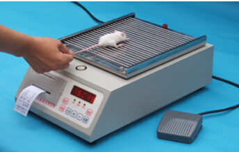 大小鼠抓力测定仪 型号:YLS-13A