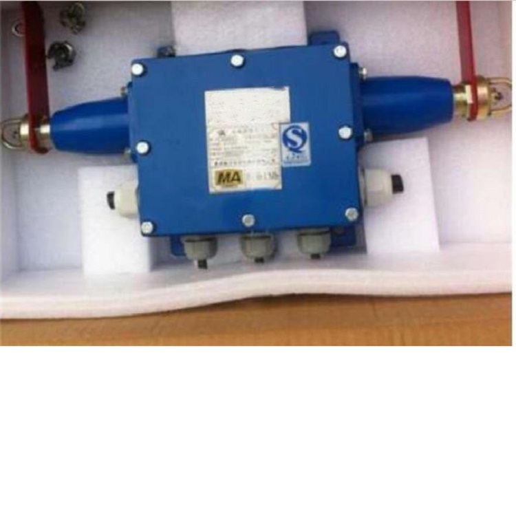 拉绳闭锁开关 型号:KG9001A-ZIP65 