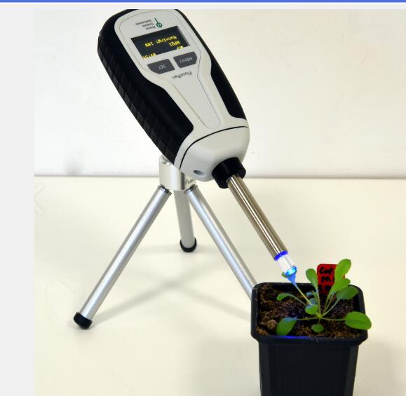 手持式藻类荧光测量仪 PAR+探头式 型号:PAR-FluorPen FP 110/P 库号：D66652