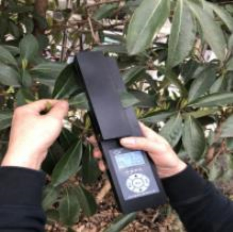 叶面积测量仪  型号:DF-236372 库号：D236372