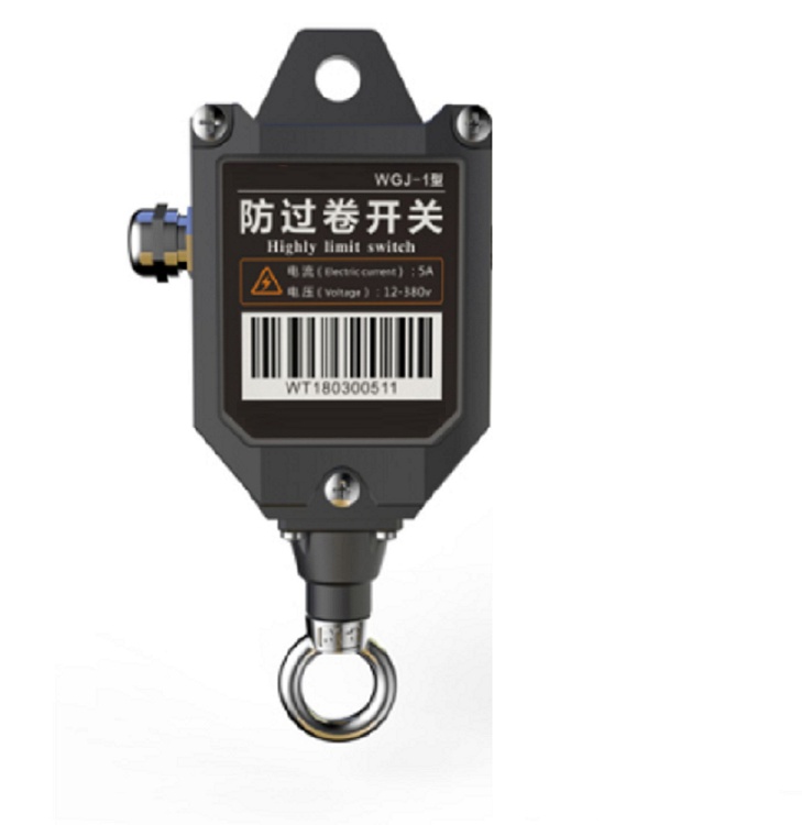 闸门限位开关 型号:WGJ-1-1 库号：D409795