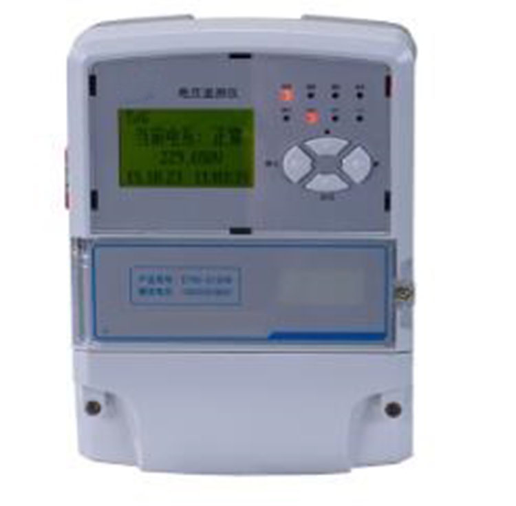 电压监测仪 型号:DT60 库号：D377179