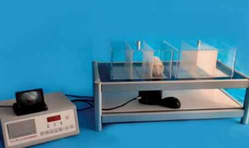 大小鼠足底触痛仪  型号:YLS-22A 库号：D398146