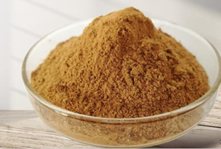 红茶提取物 10:1 1kg 型号:WH002-1KG库号：D28250