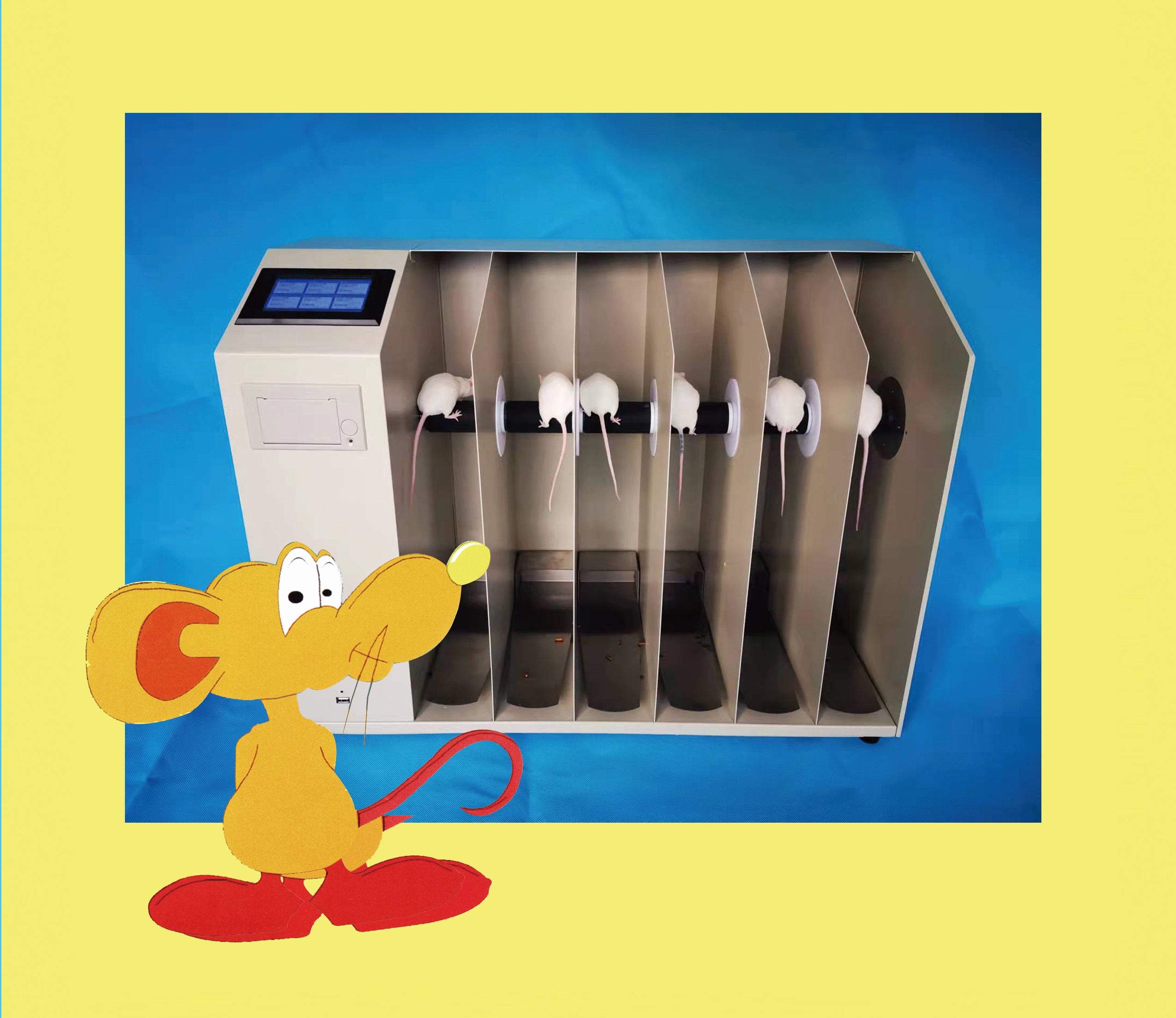 大小鼠转棒测试仪 型号:YYLS-31B 库号：D410478