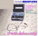 便携式烟气分析仪