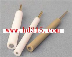 铂电极（进口2mm） 型号:M206076库号：M206076