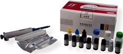呕吐毒素试剂盒 ELISA 型号:GN-MYT030（96孔）	 库号：M401263