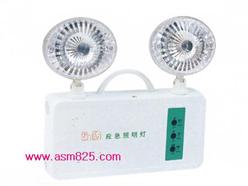 应急照明灯 型号:YY-SZDQ-S.A1.b	 库号：M391418