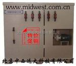  M296860 次氯酸钠发生器（30g/h)  厂家直销