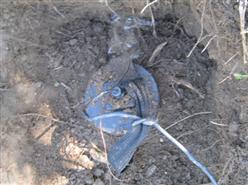 不极化电极  库号：M257494