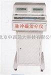 脉冲磁疗仪  库号：M48420