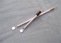 铂片电极（12*9*0.3mm) 型号:AD13-12*9*0.3mm库号：M132299