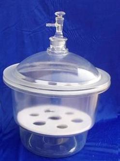 玻璃真空干燥器 300mm 白色 一等品