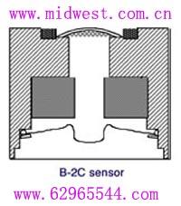 燃料电池(TELEDYNE)