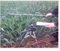 叶面积指数测量仪（冠层分析仪）