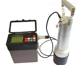 便携式γ能谱仪(地质找矿)