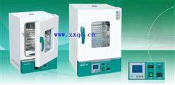 电热恒温干燥箱