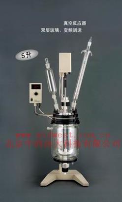 真空反应器(10L）